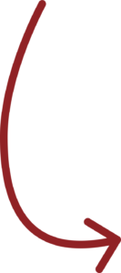 Inspiratie en ondersteuning van elke anios